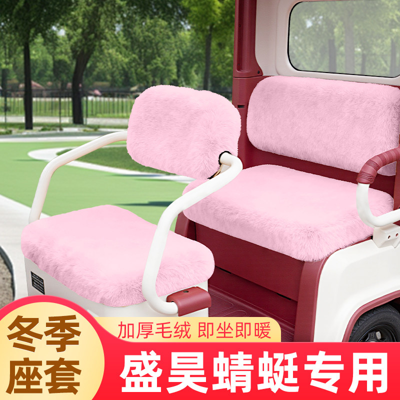 盛昊蜻蜓专用电动三轮车座套坐垫套脚垫冬季通用卡通加厚装饰配饰