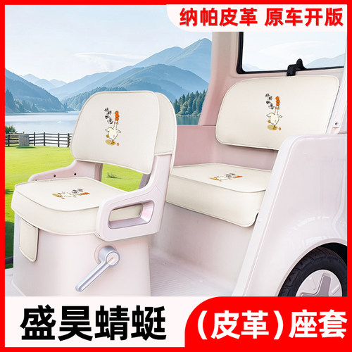 适用盛昊蜻蜓电动三轮车座套坐垫套SH1000DZK-18D脚垫改装饰配件
