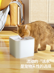 猫咪饮水机静音自动循环宠物流动喝水器猫饮水器猫狗狗水盆喂水碗