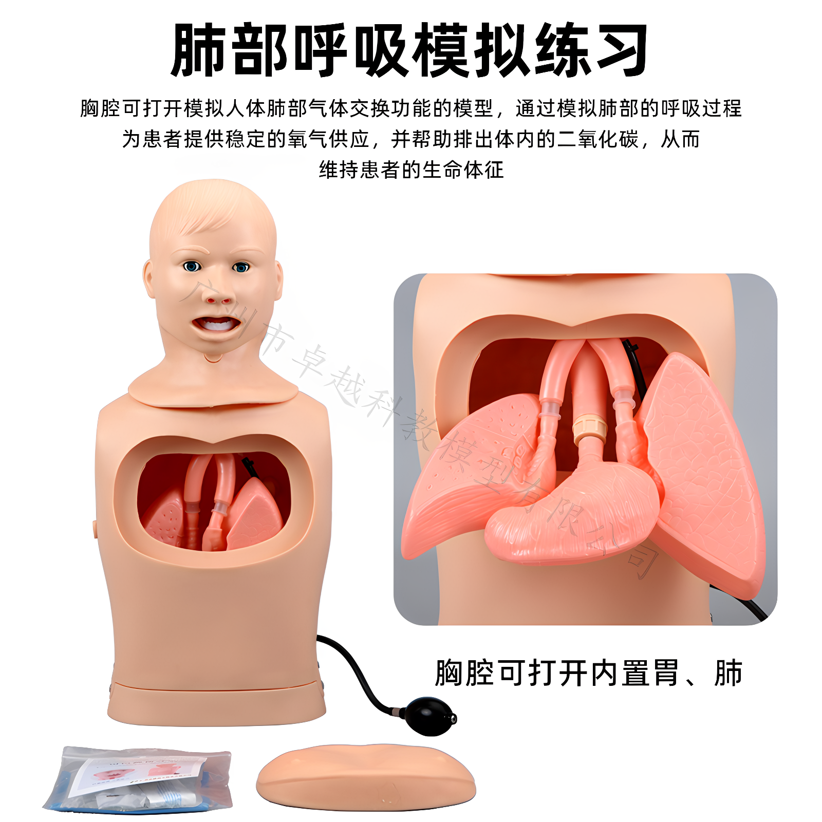 鼻饲管气管护理护理模拟人模型