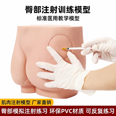 臀部肌肉注射训练模型厂家直销