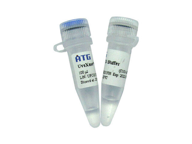 ATG:C101: 一步法克隆试剂盒CloneUFO,工业油品/胶粘/化学/实验室用品,试剂,淘宝优惠券,粉丝福利购,淘宝优惠卷