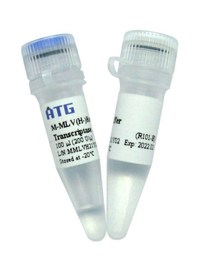ATG: R101: M-MLV (H-) Reverse Transcriptase/逆转录酶