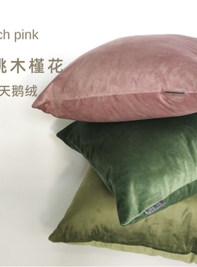 RYKALYSS桃夭粉色天鹅丝绒抱枕套舒适客厅沙发靠垫午睡北欧现代