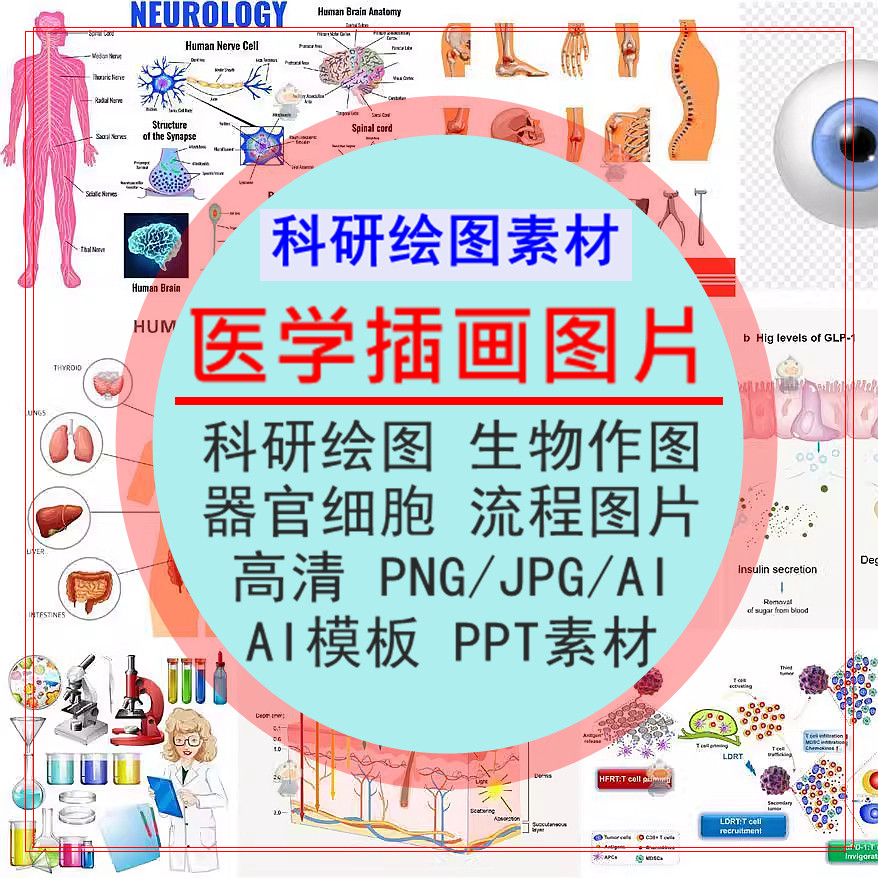 ai模板科研绘图素材ppt医学插画器官细胞流程图片png生物作图资料
