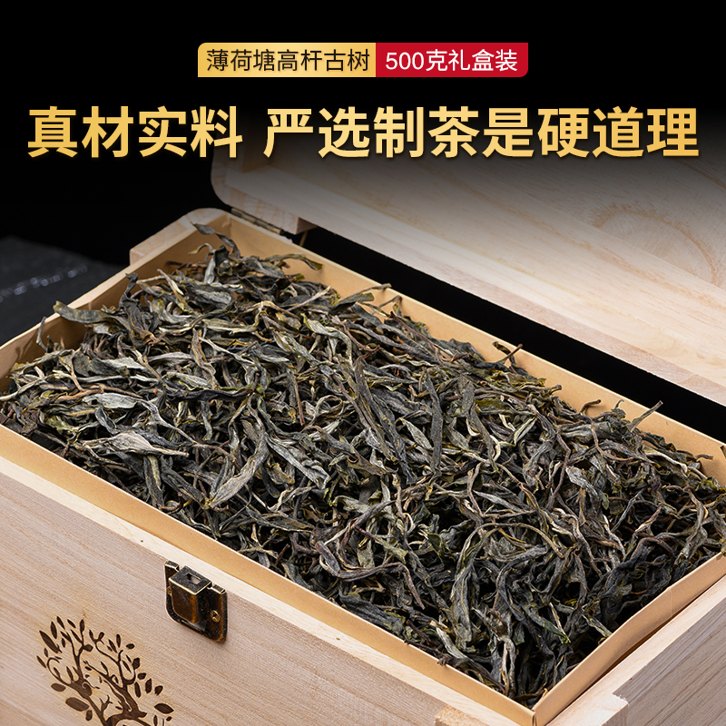 普洱生茶散茶兰花香2025年薄荷塘高杆古树纯料特级散茶礼盒装普洱