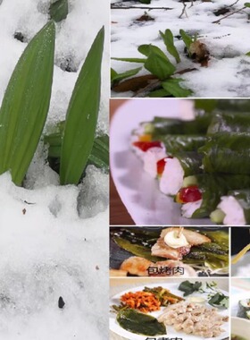 寒葱 山葱 茖葱 茗荑菜 山蒜叶 韩国工艺配料 酸甜口味 开罐即食