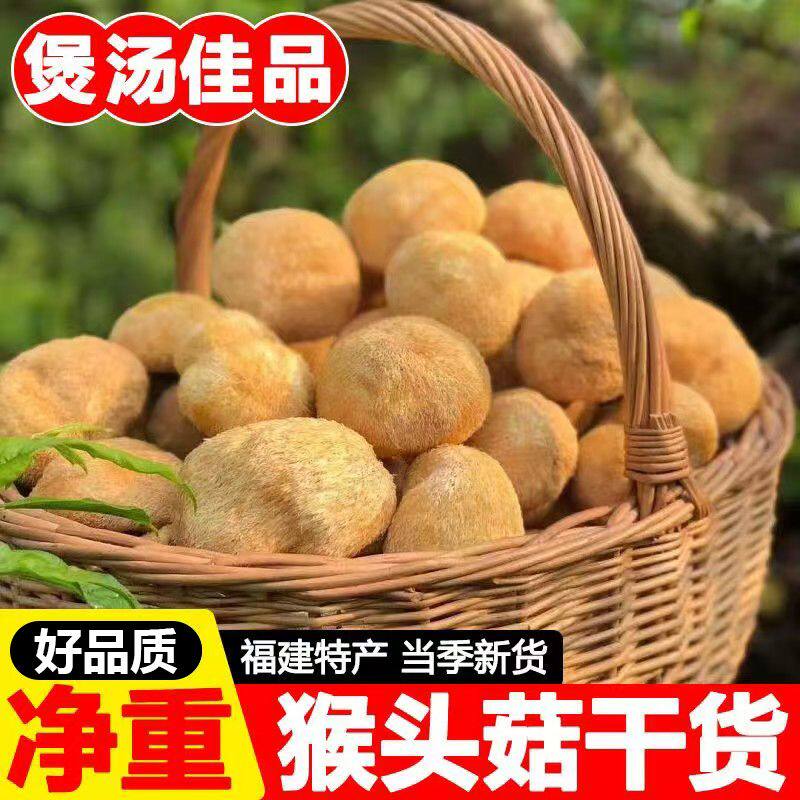 【精选】猴头菇批发农家干货净重猴头菇新货煲汤无干燥剂古田特产