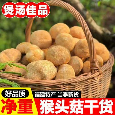 【精选】猴头菇批发农家干货净重猴头菇新货煲汤无干燥剂古田特产