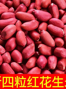 新货5斤红皮花生米生新鲜现剥无壳粒红花生仁四粒红衣花生米批发