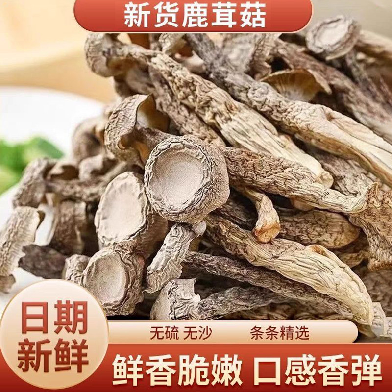 精选新货鹿茸菇干货脆脆菇菌菇蘑菇类古田特产食材煲炖汤商用批发