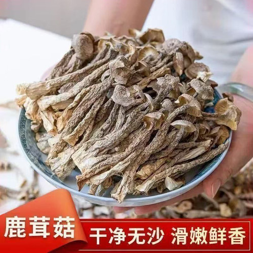 正宗鹿茸菇干货鹿茸菌煲汤食材菌菇干货食材脆脆菇蘑菇香菇批发
