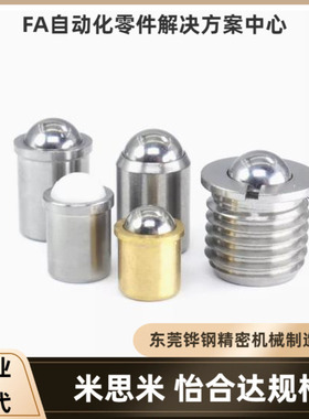 树脂球头柱塞 BSMN BSZN BNMN BNZN TBBT BPJG-4 5 6 8 10 12