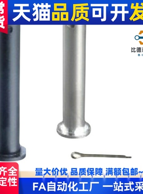 替代HCMG HCMGH SHCMG HCLGN PHCLGHN 带肩铰链销