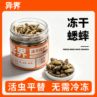 异界冻干白蟋蟀油葫芦爬虫鸣虫食物无需冷冻黑蟋蟀守宫睫角饲料