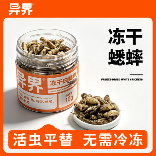 异界冻干白蟋蟀油葫芦爬虫鸣虫食物无需冷冻黑蟋蟀守宫睫角饲料