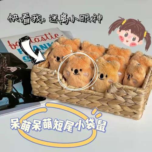 小红书同款韩国ins可爱玩偶毛绒