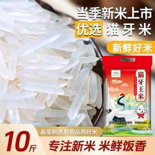 26新米江西猫牙米大米现磨现发生态梯田大米晚稻香米种植鲜糯回甘