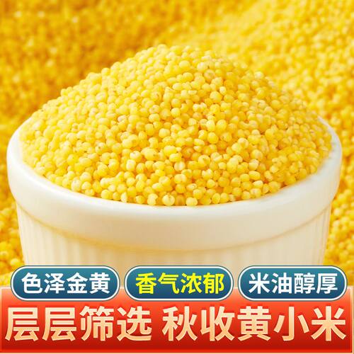 新小米正宗品质优质黄小米养小米胃月子米小米粥五谷杂粮小米油多