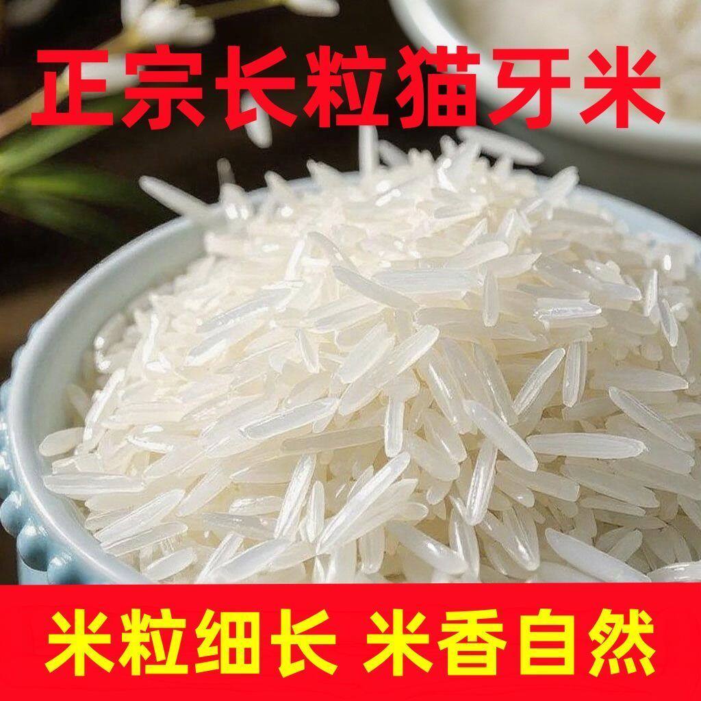 正宗猫牙米长粒原粮非泰国进口茉莉香新大米10/5斤大米家庭大包装