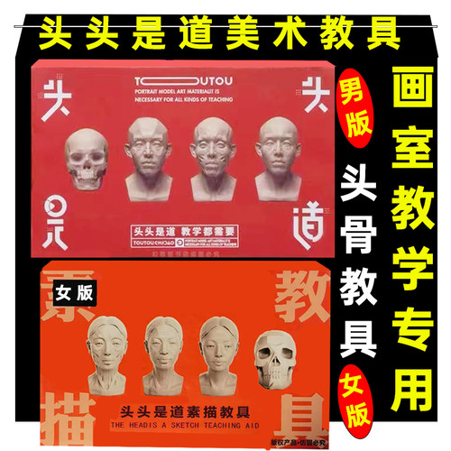 头头是道美术头像教学写生教具
