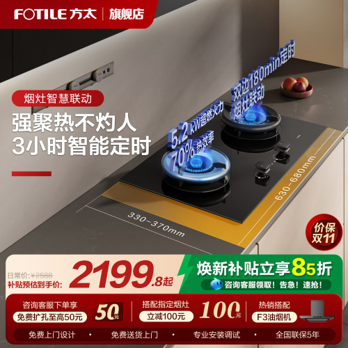 方太独立定时猛火灶燃气灶TE21