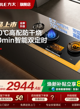 【新品】方太燃气灶TEK20定时防干烧双灶家用煤气灶官方旗舰店