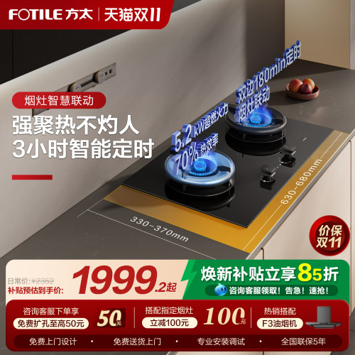 方太独立定时猛火灶燃气灶TE21