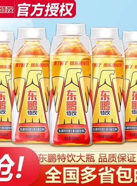 东鹏特饮维生素功能饮料加班熬夜运动年轻醒着拼500ml*12瓶整箱