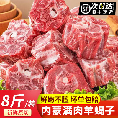 内蒙羔羊多肉羊蝎子新鲜羊肉