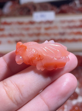 金鱼打孔备注1483