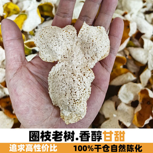 天马东甲鲜皮圈枝柑广东新会陈皮大红二红皮果皮小青柑陈皮干生晒