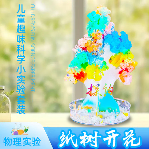 探询雪花种植趣味科学儿童小实验