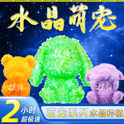 探询水晶萌宠2小时快速种植套装