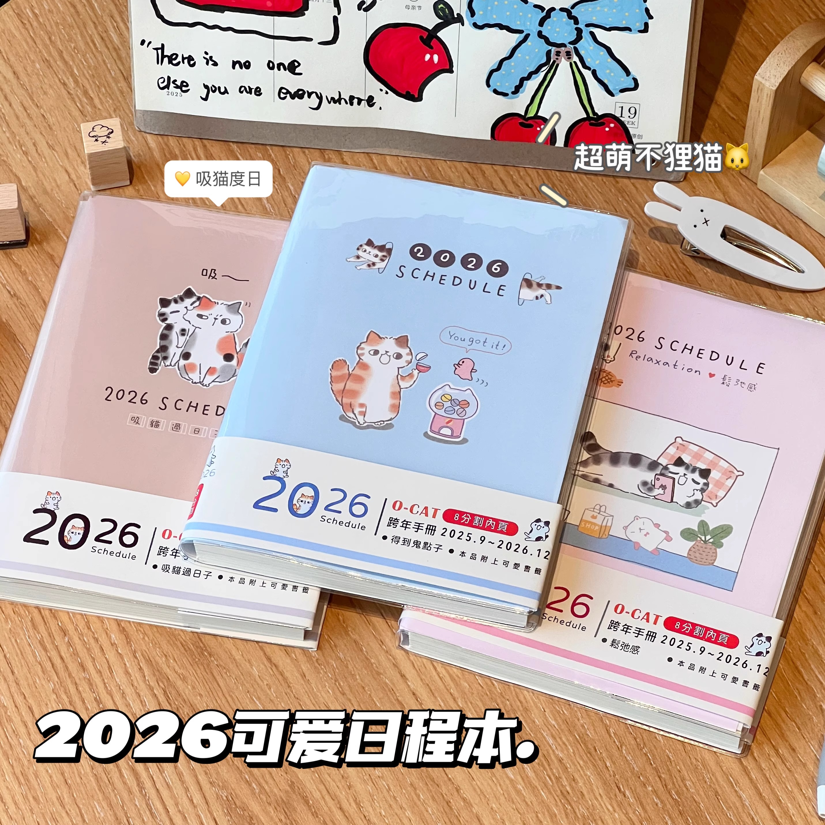 2026年不理猫日程本彩色内页月周计划笔记本学生手账本打卡日记本