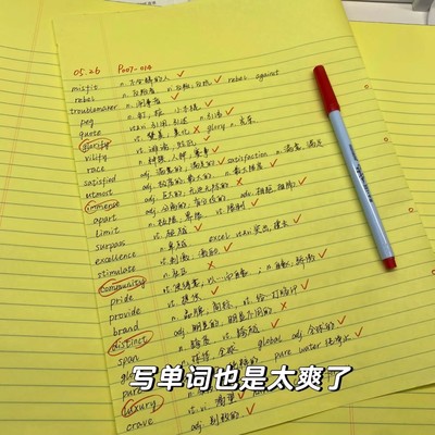 凯萨简约a3超大拍纸本加厚横线单词本学生考研记录打卡笔记本本子