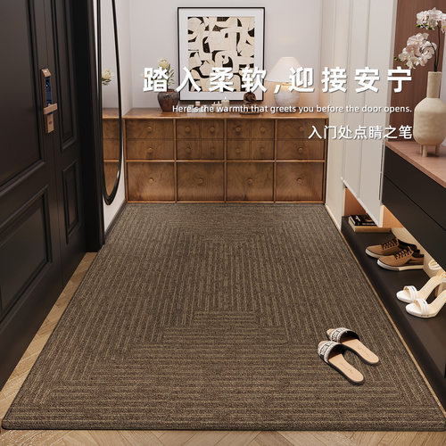 入户门垫免打理室内耐脏免洗地垫