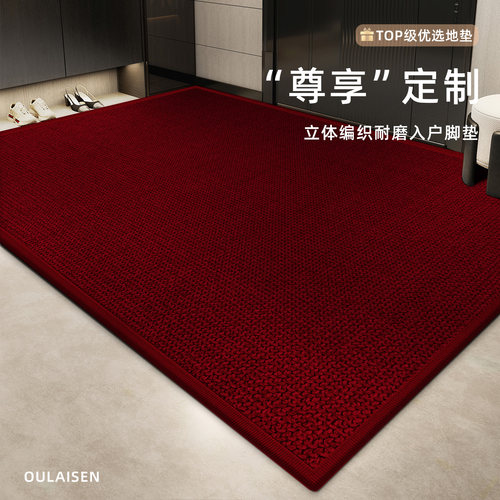 高级感入户门垫室内免洗可擦脚垫