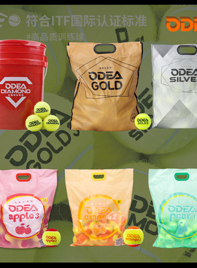 ODEA欧帝尔网球成年儿童训练用球绿橙红球GOLD初学者专业练习球