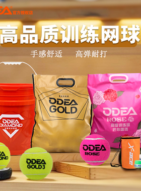 ODEA欧帝尔网球GOLD训练用球高弹专业练习球初学者silverDIAMOND