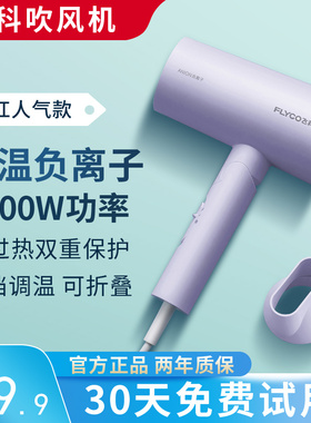 飞科负离子电吹风机家用大功率可折叠宿舍学生冷热风护发FH6277