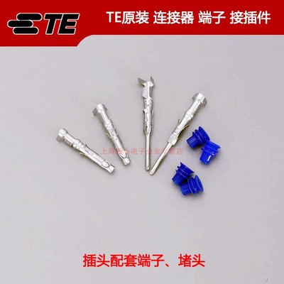 TE连接器TE1703013-1929989-1