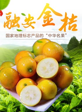 脆蜜金柑广西融安金桔现摘现发自家果园清甜新鲜金柑精品礼盒装