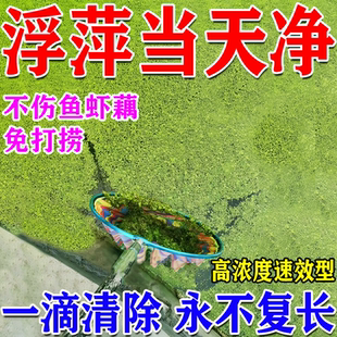 浮萍净清除剂一扫光鱼塘除杀灭草清理神器水花生克星烂根剂免打捞