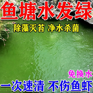 鱼塘净水剂池塘变清鱼池消毒杀菌药除绿藻油膜水质净化剂改底解毒