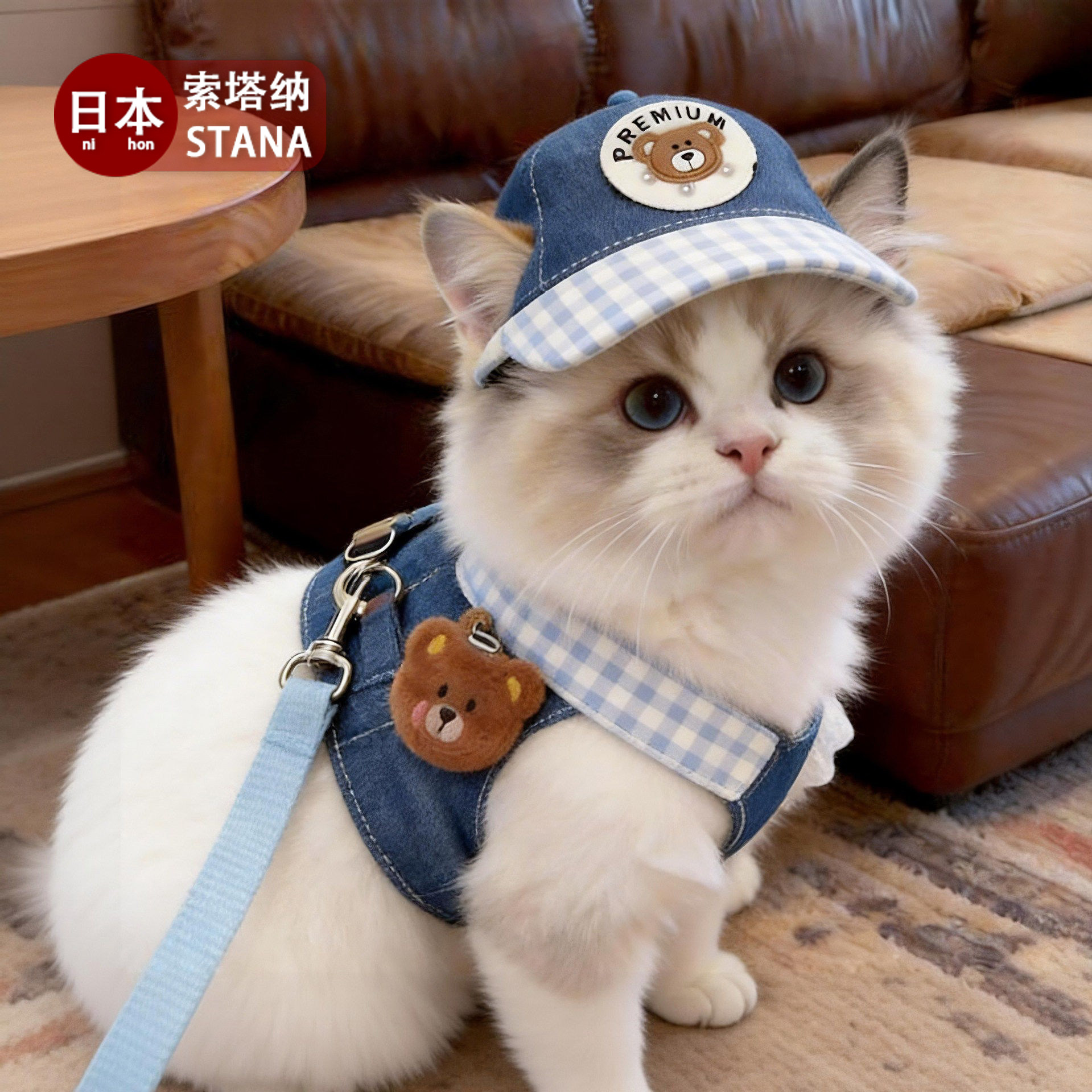 日本宠物牵引绳牛仔套装德文可牵引胸背猫咪衣服夏季外出猫狗通用