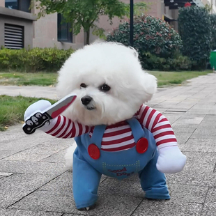 狗狗搞怪变身装猫咪宠物衣服中小型犬比熊博美柴犬网红服装拿刀装