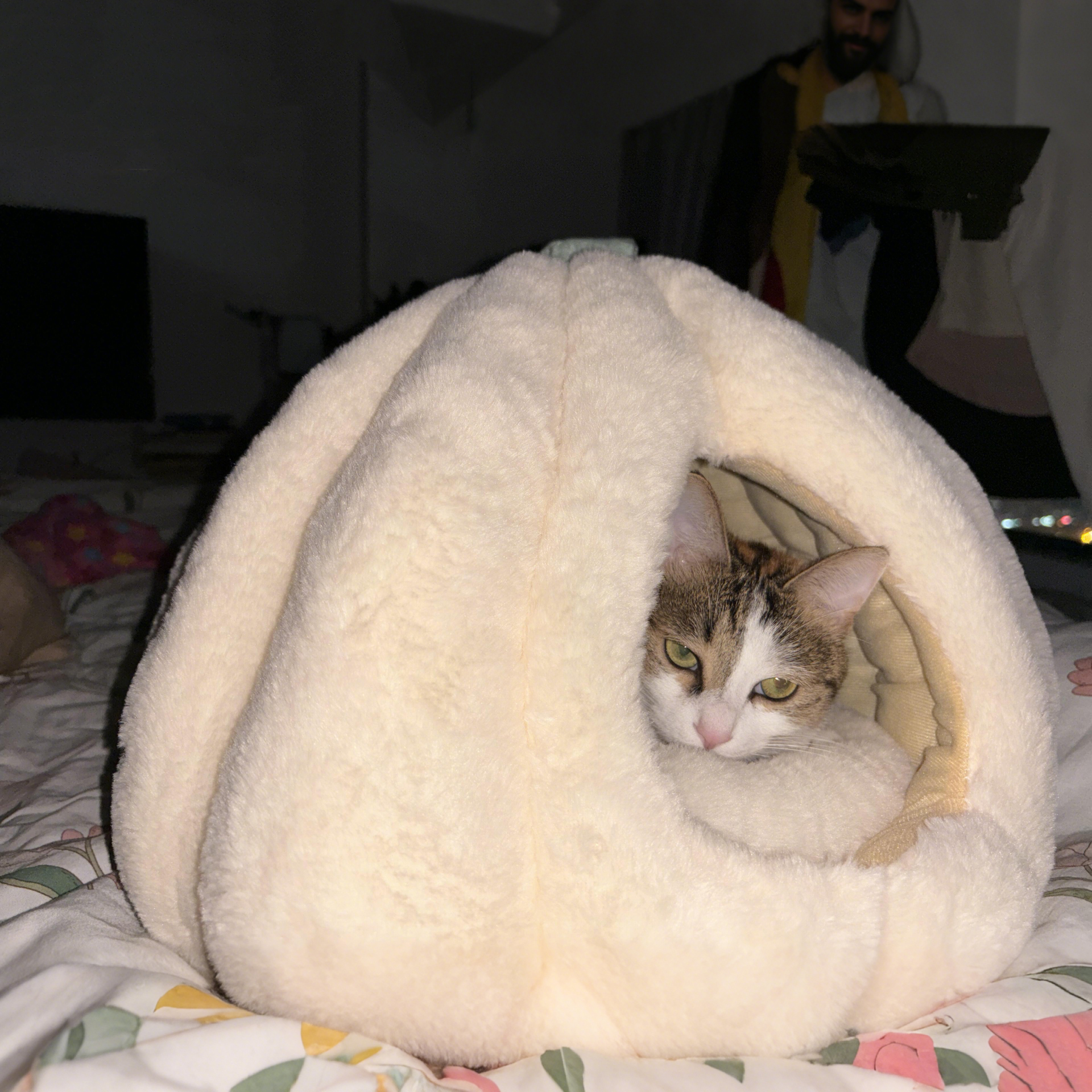 【冬天保暖加厚】猫窝安全感窝