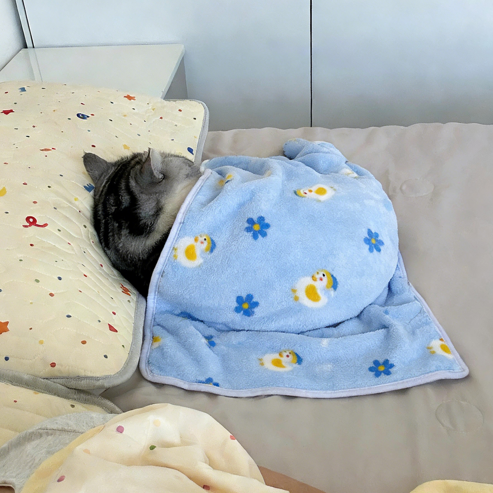 宠物毯子猫咪狗狗垫子四季通用加厚保暖珊瑚绒毛毯可爱卡通小被子,宠物/宠物食品及用品,猫狗垫子,淘宝优惠券,粉丝福利购,淘宝优惠卷