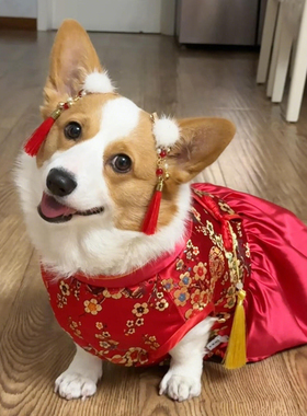 新年宠物发夹狗狗头饰红色约克夏马尔济斯发卡马年拜年拍照道具